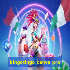 bingotingo canva pro